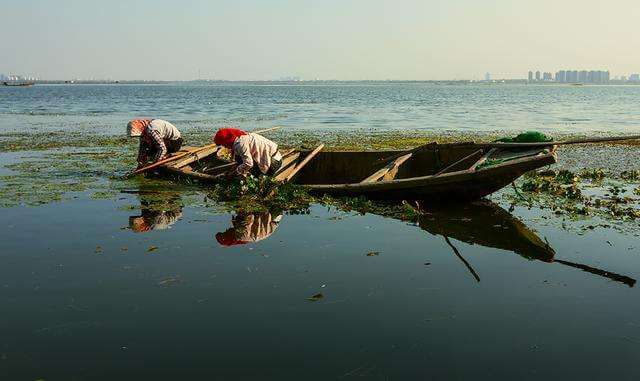现货黄金价格走势app